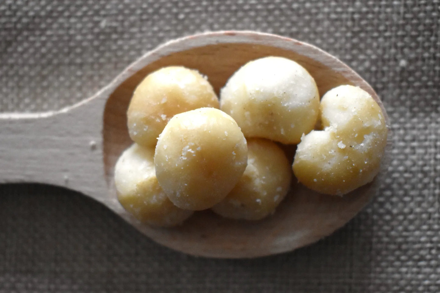 Noci macadamia sgusciate intere disposte su un cucchiaio di legno chiaro, con cristalli di sale in superficie, frutta secca premium naturale di qualità Torti Frutta Secca