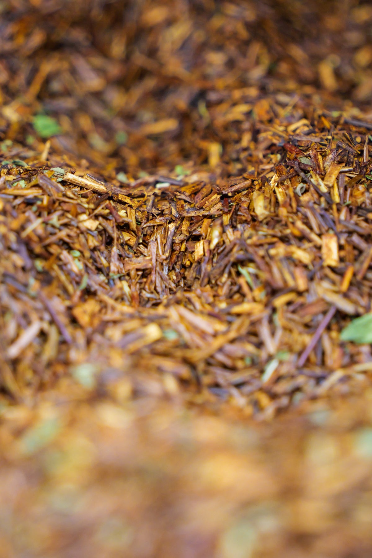 Rooibush alla menta