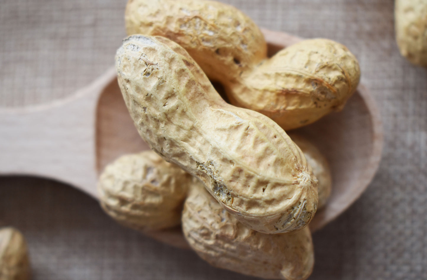 Arachidi in guscio tostate