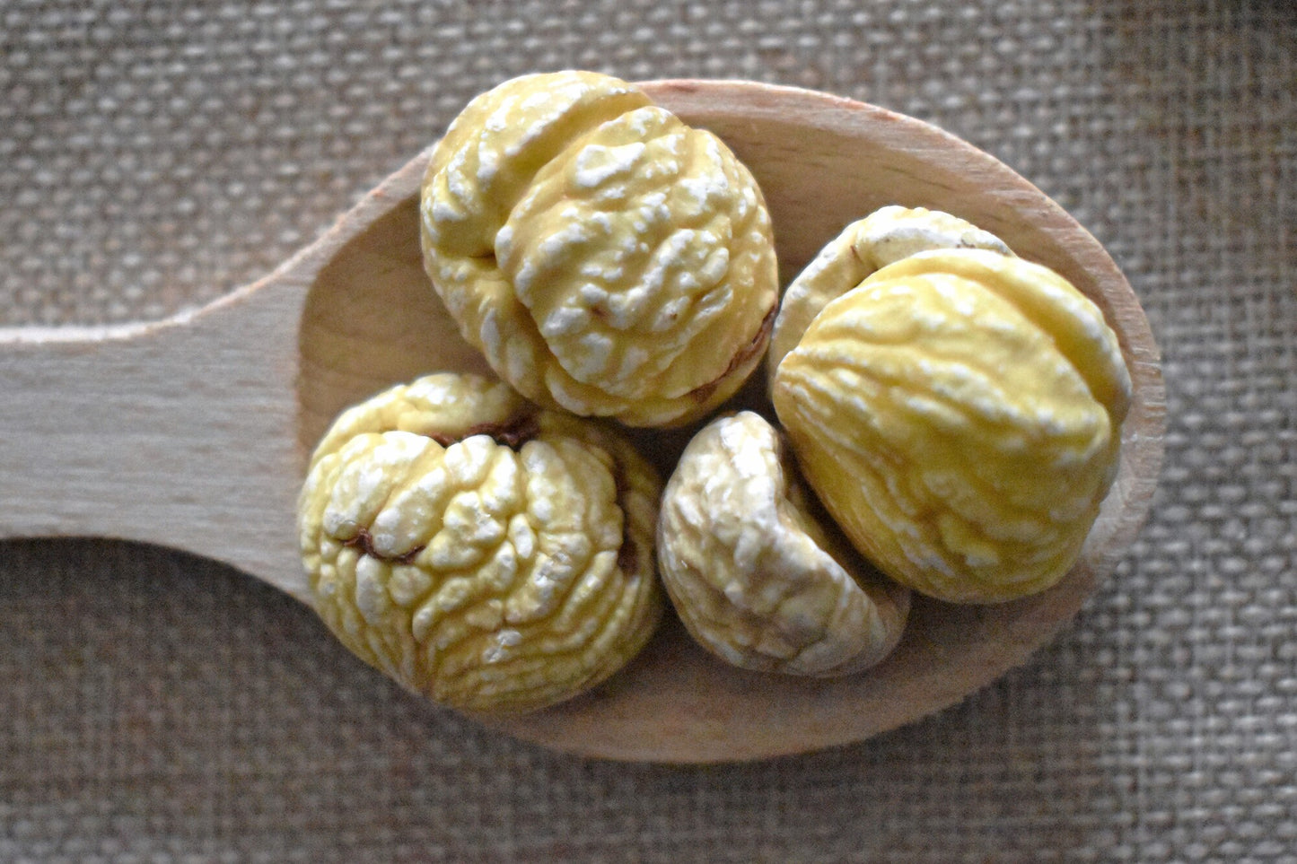 Castagne secche morbide