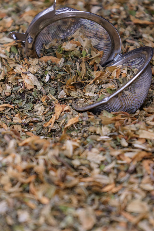 La bella addormentata