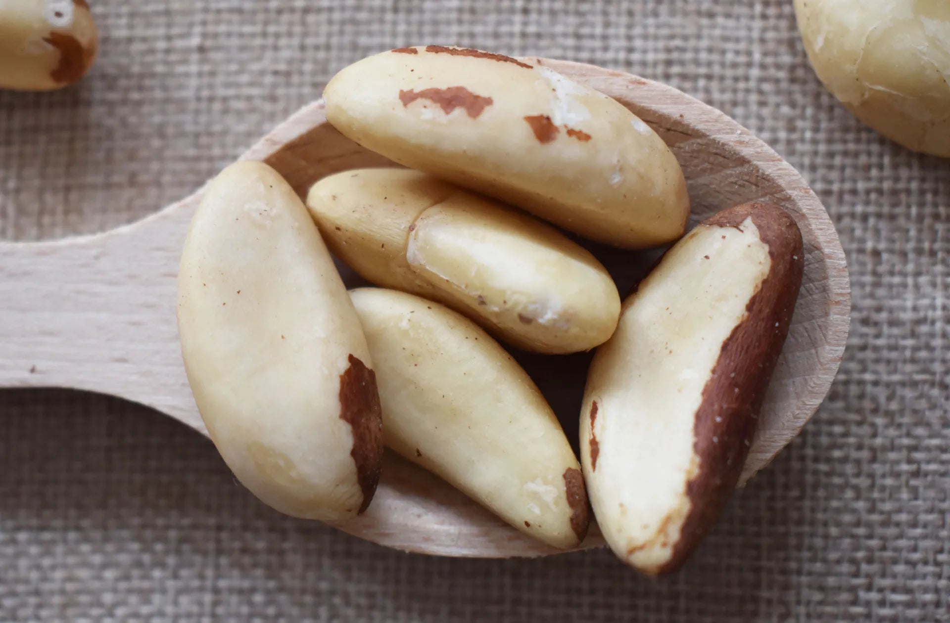 Noci brasiliane sgusciate disposte su cucchiaio di legno su sfondo di tela rustica — frutta secca premium naturale Torti Frutta Secca