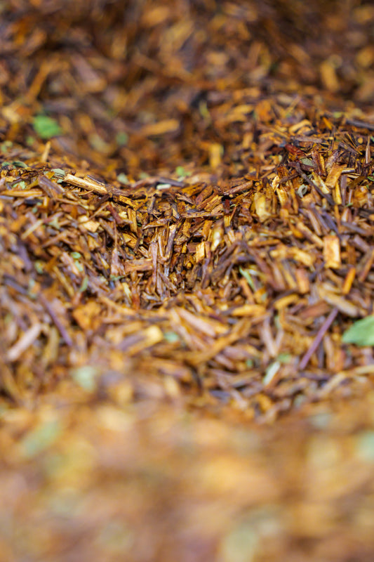Rooibush alla menta