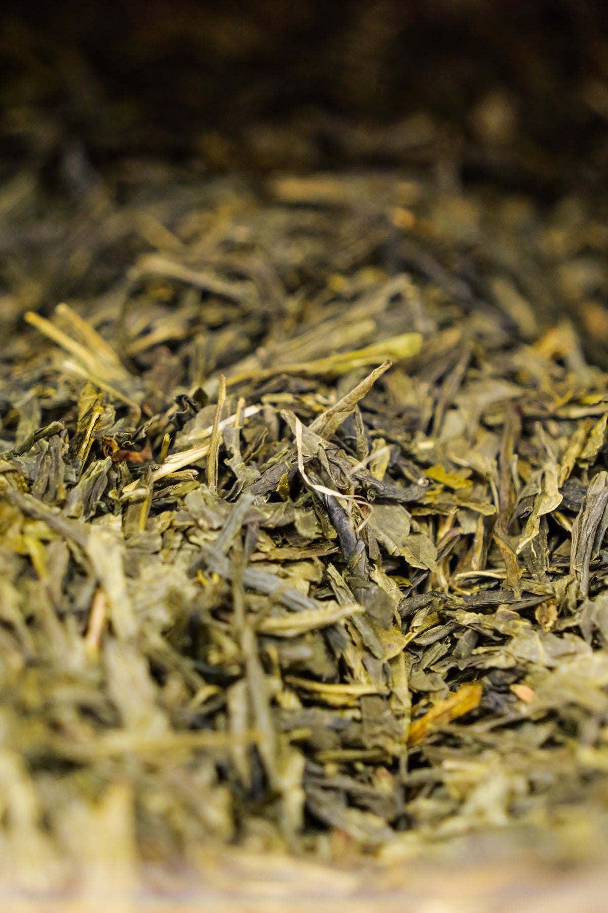 Sencha special