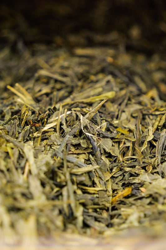Sencha special